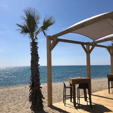 Le Barcares: T2 Moderne Climatise, Au Bord De Mer, 4 Pers, Parking Securise - Fr-1-799-4 Apartment *